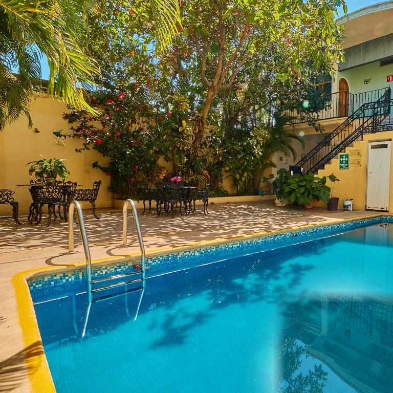 Swimming pool and tropical garden